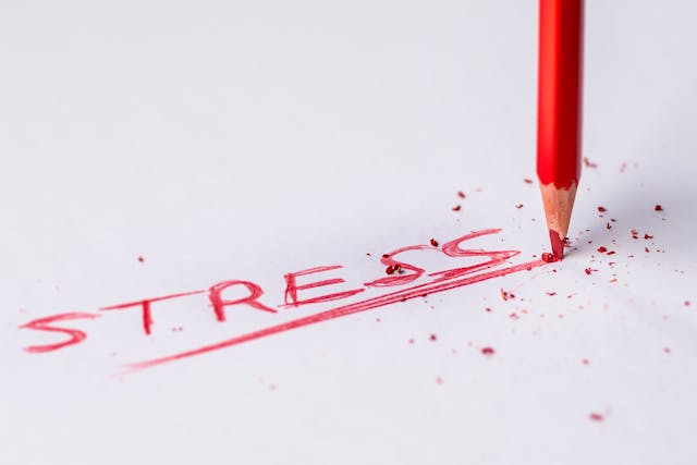 Word Stress written with a red pencil.